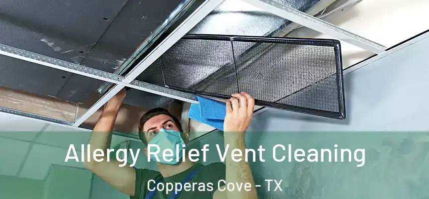  Allergy Relief Vent Cleaning Copperas Cove - TX