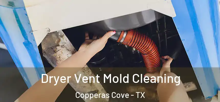 Dryer Vent Mold Cleaning Copperas Cove - TX