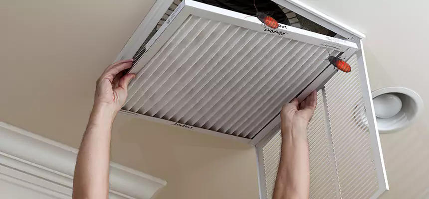 Preventive Cockroach-Proofing for Ducts in Copperas Cove