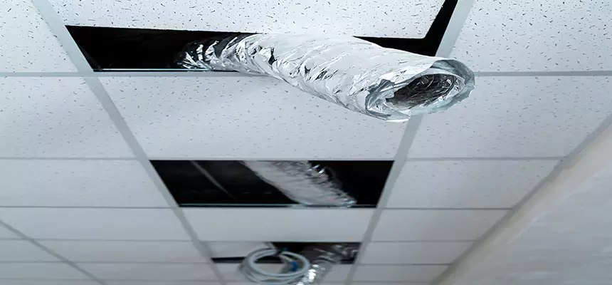 Affordable HVAC Sanitizing After Pest Removal in Copperas Cove