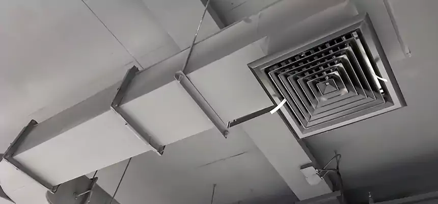 Restorative Allergy Relief Vent Cleaning – Coil, Blower & Housing Detail in Copperas Cove