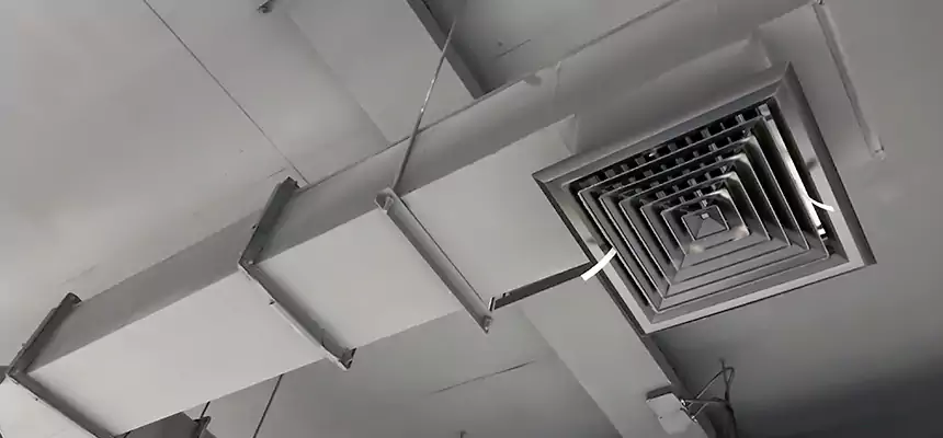 Our Rodent Droppings In Vents Services in Copperas Cove, TX