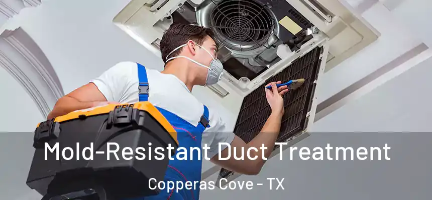 Mold-Resistant Duct Treatment Copperas Cove - TX
