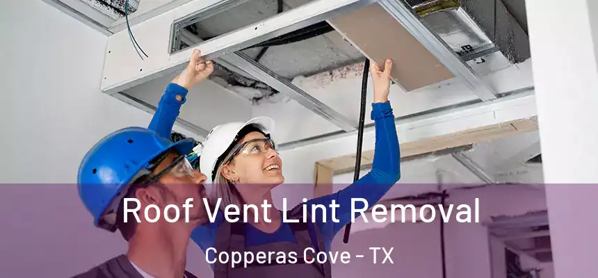  Roof Vent Lint Removal Copperas Cove - TX