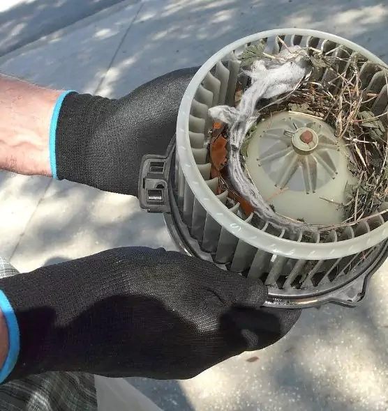 About Air Duct Mice Removal in Copperas Cove, TX