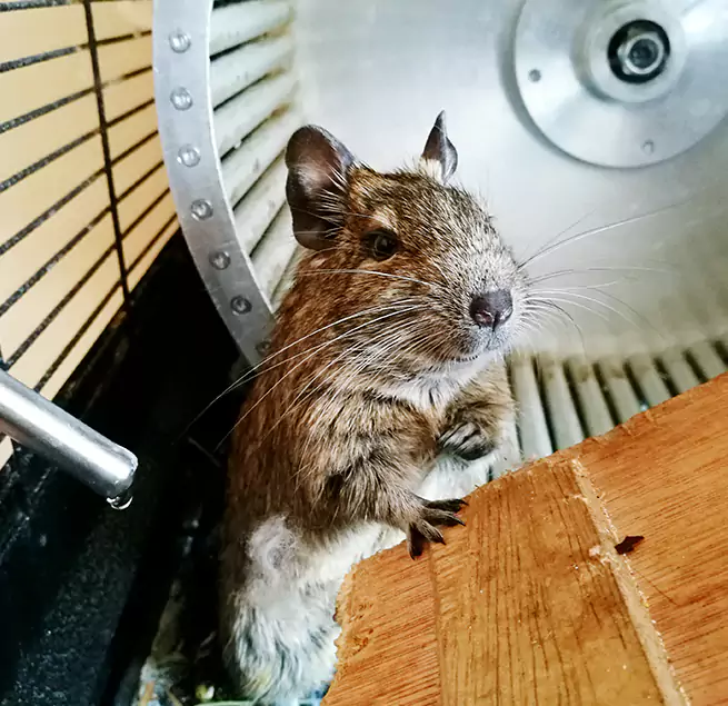 Why Homeowners & Businesses Trust Us Copperas Cove, TX?